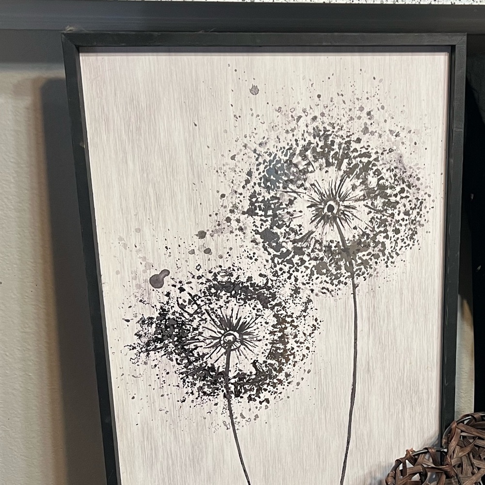 Black and White Dandelion Art Print